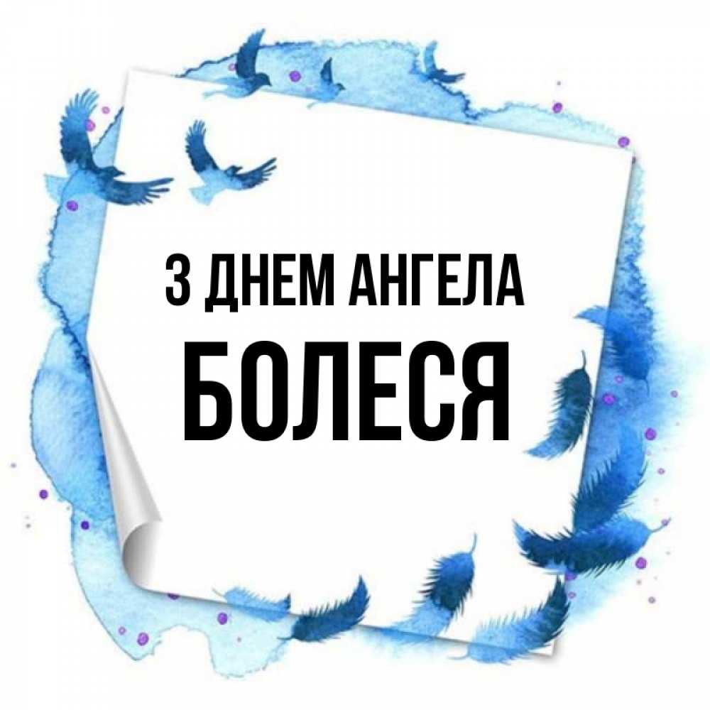 Открытка на каждый день з підписом, Болеся З Днем ангела красивые птицы летят Прикольна листівка з побажанням онлайн скачати безкоштовно 