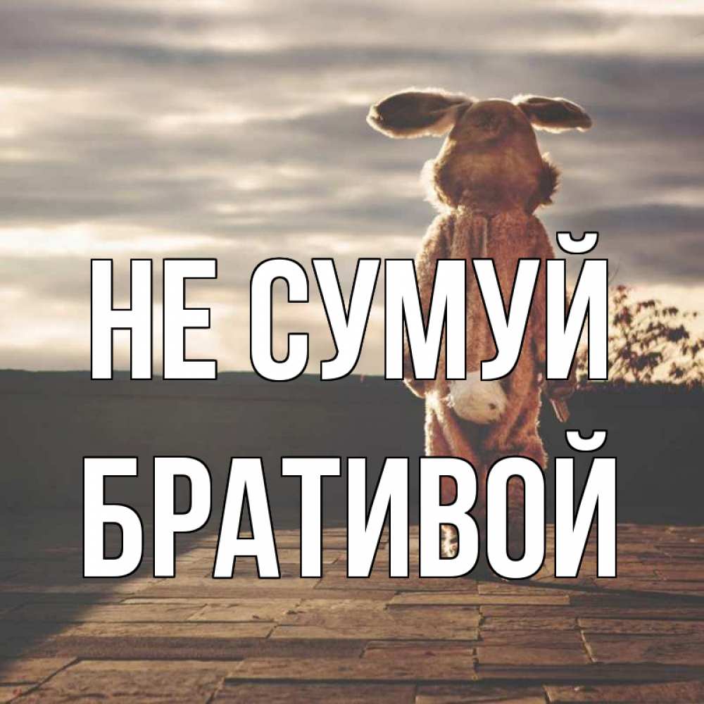 Открытка на каждый день з підписом, Бративой Не сумуй со спины Прикольна листівка з побажанням онлайн скачати безкоштовно 