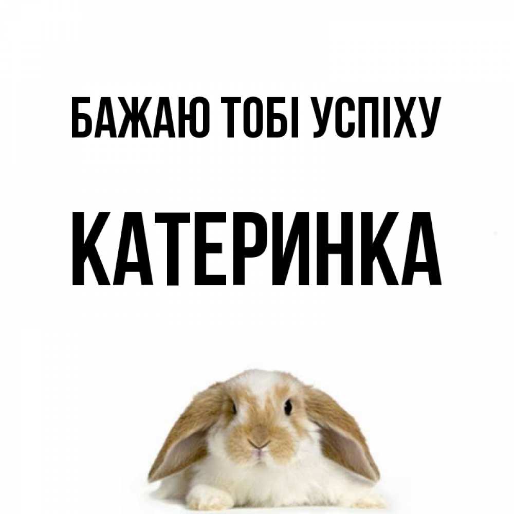 Открытка на каждый день з підписом, Катеринка Бажаю тобі успіху открытки с произвольным текстом который можно вставить в открытку и создать ее самостоятельно бесплатно онлайн Прикольна листівка з побажанням онлайн скачати безкоштовно 