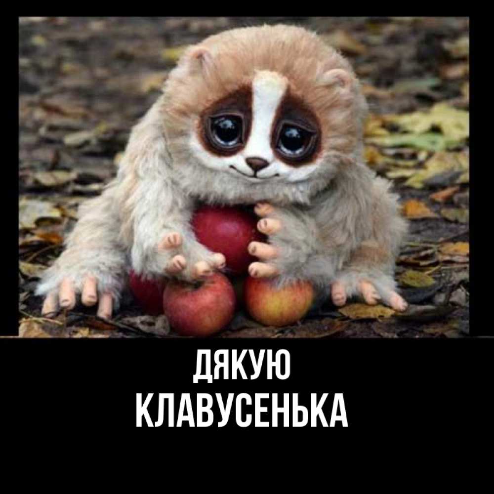 Открытка на каждый день з підписом, Клавусенька Дякую прикольное животное Прикольна листівка з побажанням онлайн скачати безкоштовно 