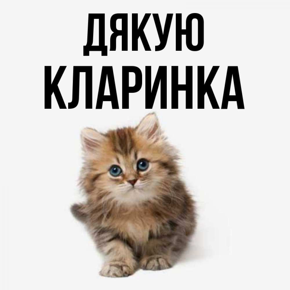 Открытка на каждый день з підписом, Кларинка Дякую пушистый котик Прикольна листівка з побажанням онлайн скачати безкоштовно 