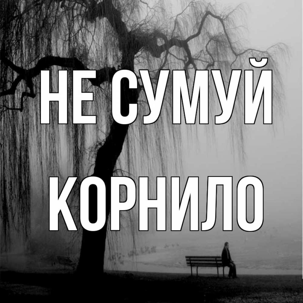Открытка на каждый день з підписом, Корнило Не сумуй висящие ветки дерева и лавочка под деревом Прикольна листівка з побажанням онлайн скачати безкоштовно 
