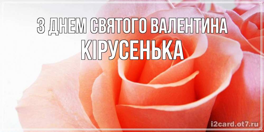 Открытка на каждый день з підписом, Кірусенька З Днем Святого Валентина открытка на день Святого Валентина с розовой розой Прикольна листівка з побажанням онлайн скачати безкоштовно 