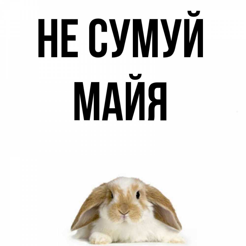 Открытка на каждый день з підписом, Майя Не сумуй коричнево белый заяц с большими ушками Прикольна листівка з побажанням онлайн скачати безкоштовно 
