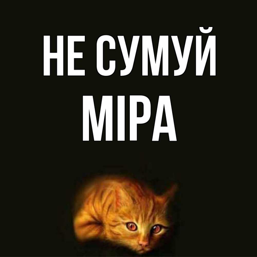 Открытка на каждый день з підписом, Міра Не сумуй лежащий кот в темноте Прикольна листівка з побажанням онлайн скачати безкоштовно 