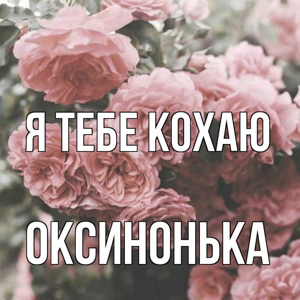 Открытка на каждый день з підписом, Оксинонька Я тебе кохаю розы 3 Прикольна листівка з побажанням онлайн скачати безкоштовно 