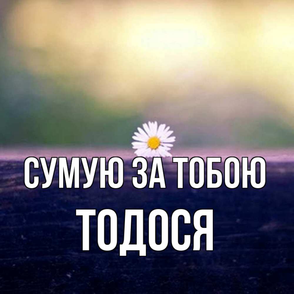 Открытка на каждый день з підписом, Тодося Сумую за тобою приходи в гости Прикольна листівка з побажанням онлайн скачати безкоштовно 