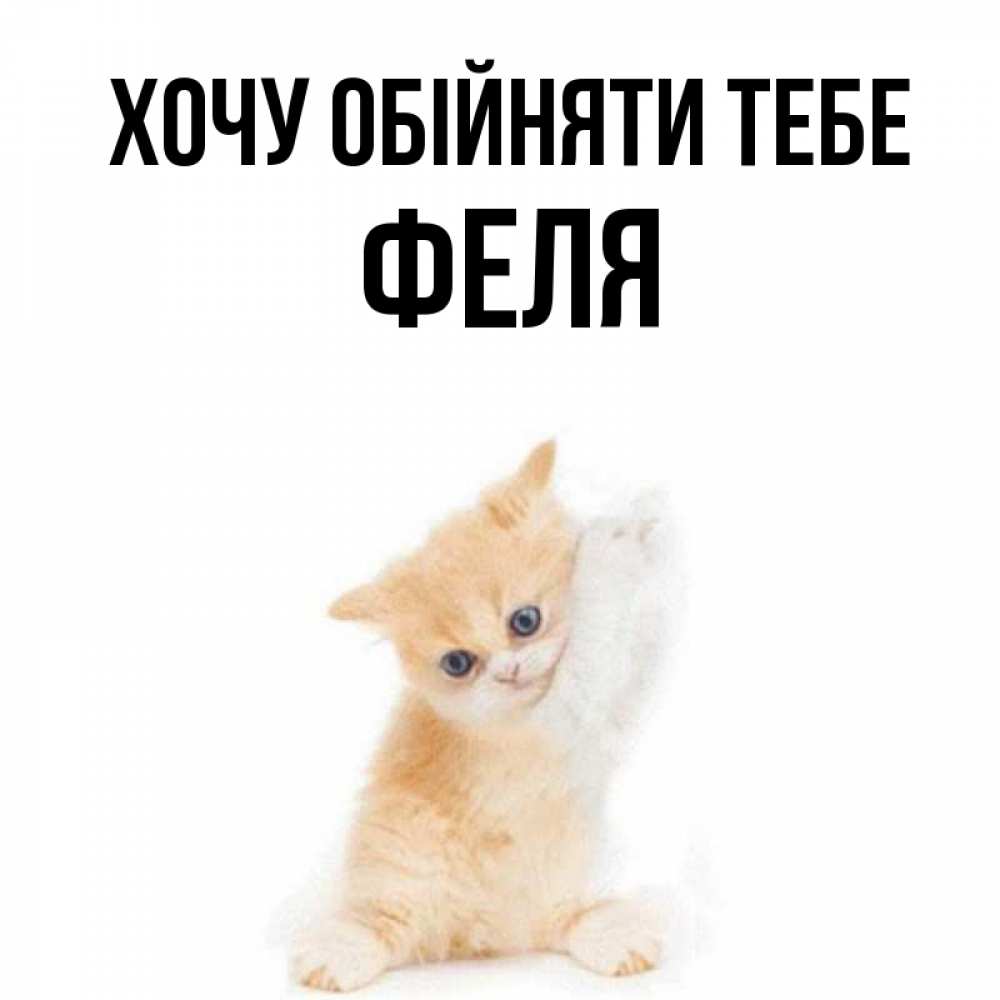 Открытка на каждый день з підписом, Феля Хочу обійняти тебе я хочу очень скорее обнимаешек Прикольна листівка з побажанням онлайн скачати безкоштовно 