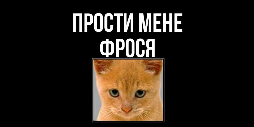 Открытка на каждый день з підписом, Фрося Прости мене рыжий грустный кот просит прощения Прикольна листівка з побажанням онлайн скачати безкоштовно 