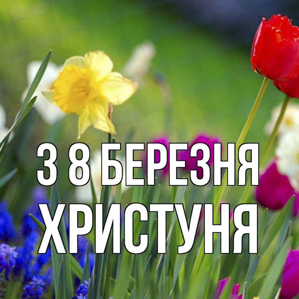 Открытка на каждый день з підписом, Христуня З 8 БЕРЕЗНЯ международный женский день 3 Прикольна листівка з побажанням онлайн скачати безкоштовно 