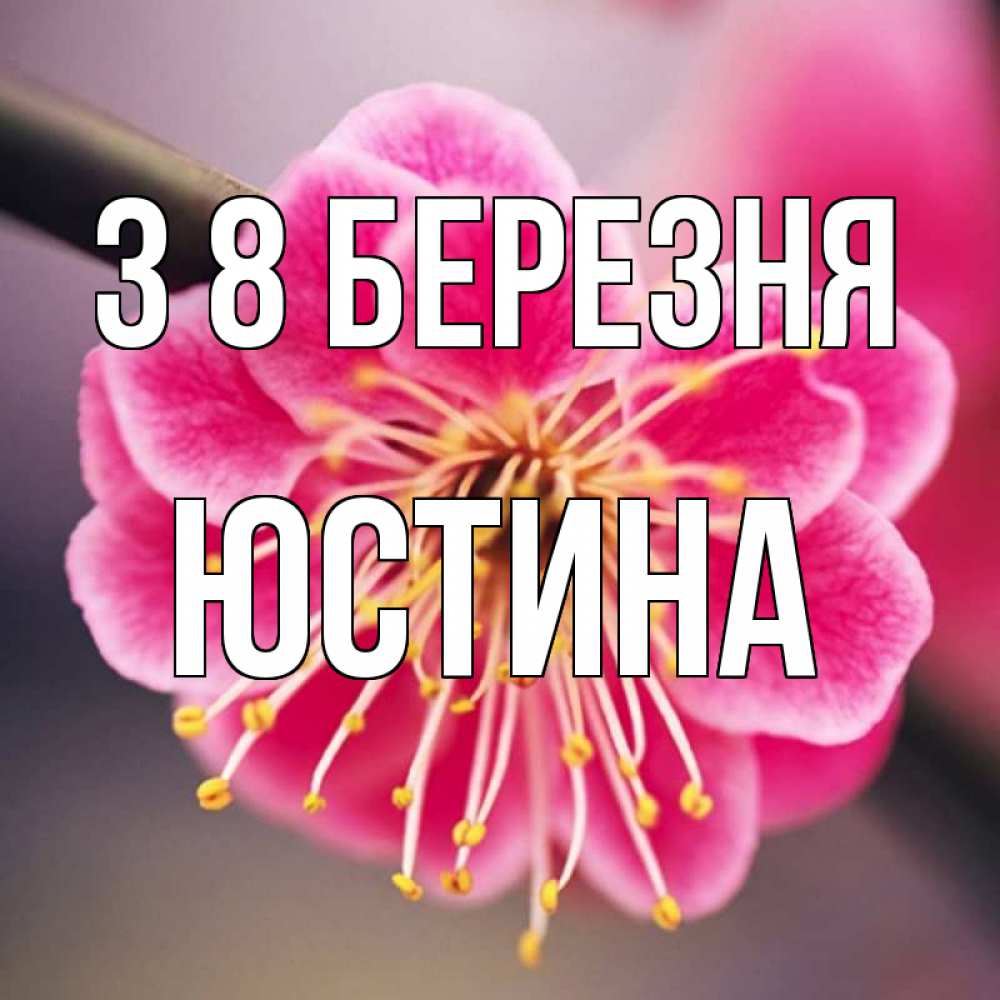 Открытка на каждый день з підписом, Юстина З 8 БЕРЕЗНЯ цветы Прикольна листівка з побажанням онлайн скачати безкоштовно 