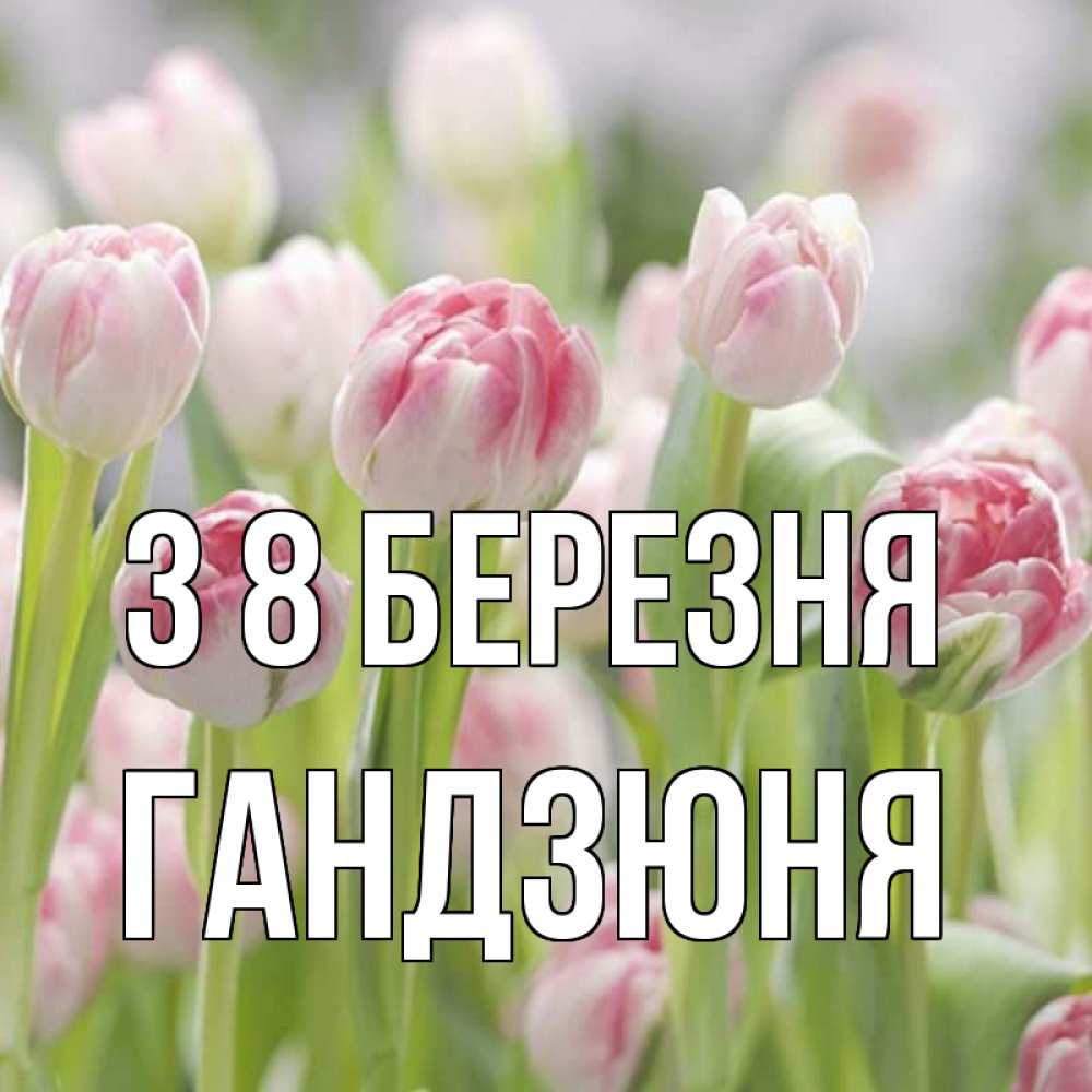 Открытка на каждый день з підписом, Гандзюня З 8 БЕРЕЗНЯ цветы Прикольна листівка з побажанням онлайн скачати безкоштовно 