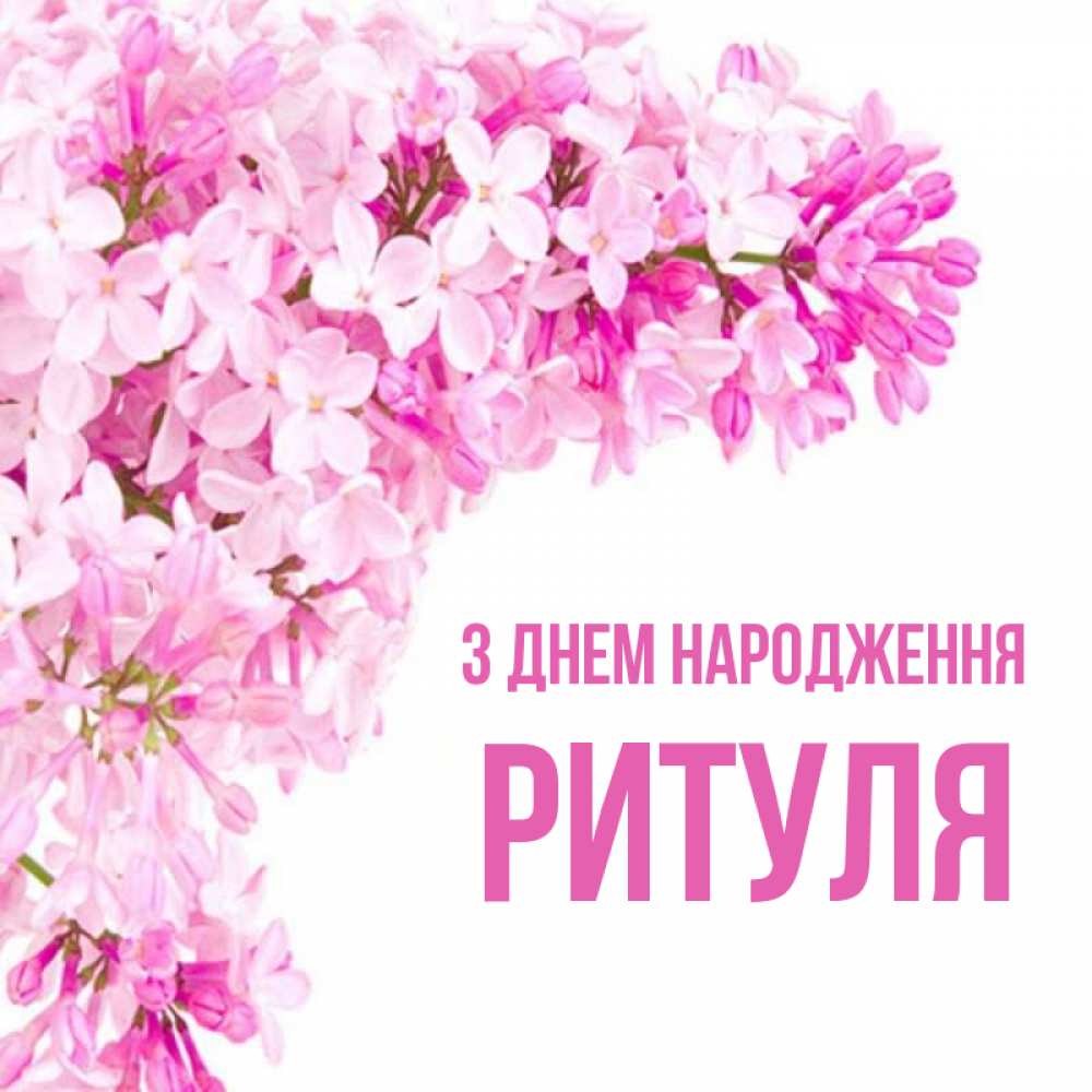 Открытка на каждый день з підписом, Ритуля З Днем народження Сирень на белом фоне Прикольна листівка з побажанням онлайн скачати безкоштовно 
