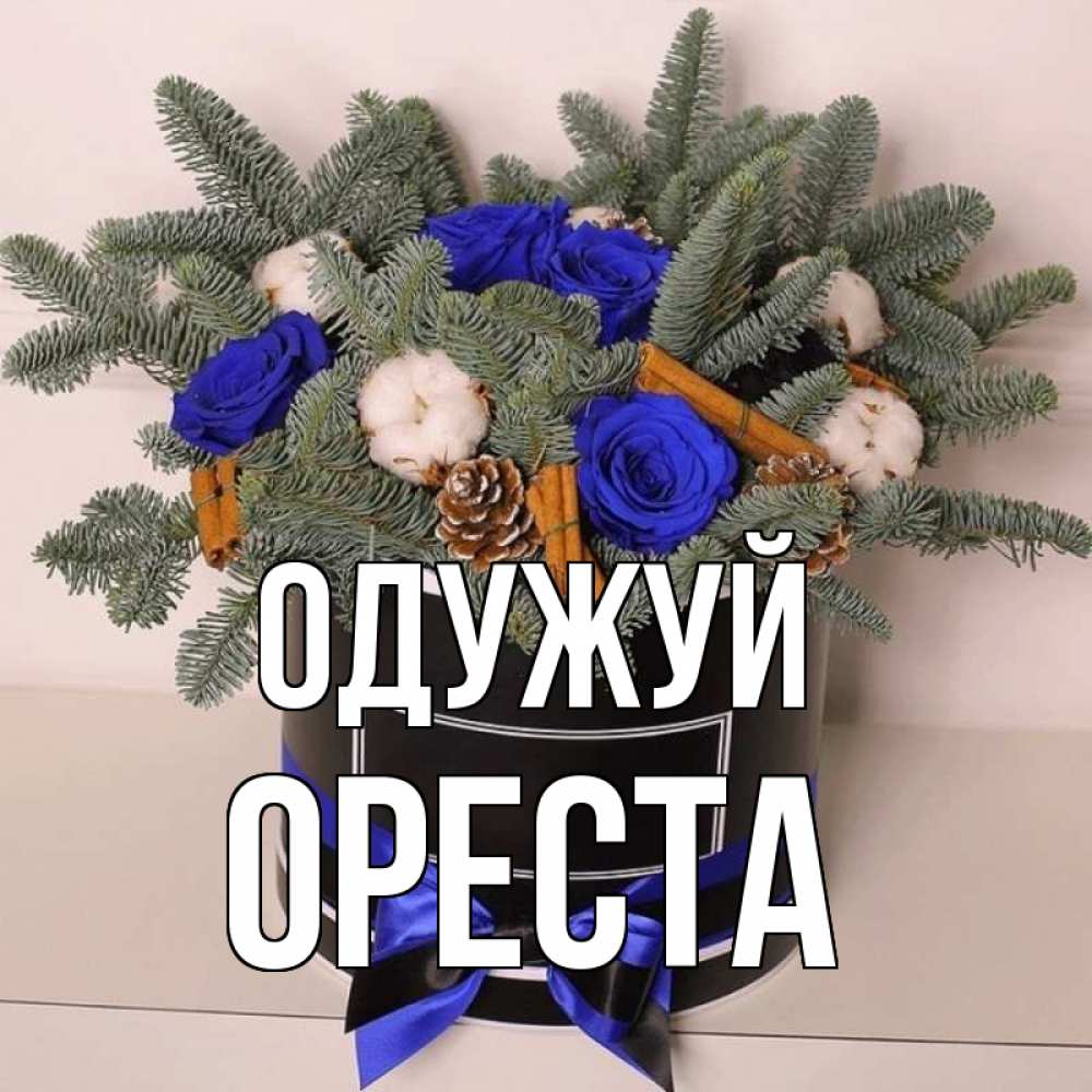 Открытка на каждый день з підписом, Ореста Одужуй короче кто то загрузил эти шишки Прикольна листівка з побажанням онлайн скачати безкоштовно 