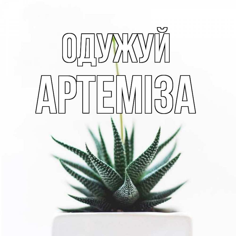 Открытка на каждый день з підписом, Артеміза Одужуй короче это непонятная колючка Прикольна листівка з побажанням онлайн скачати безкоштовно 