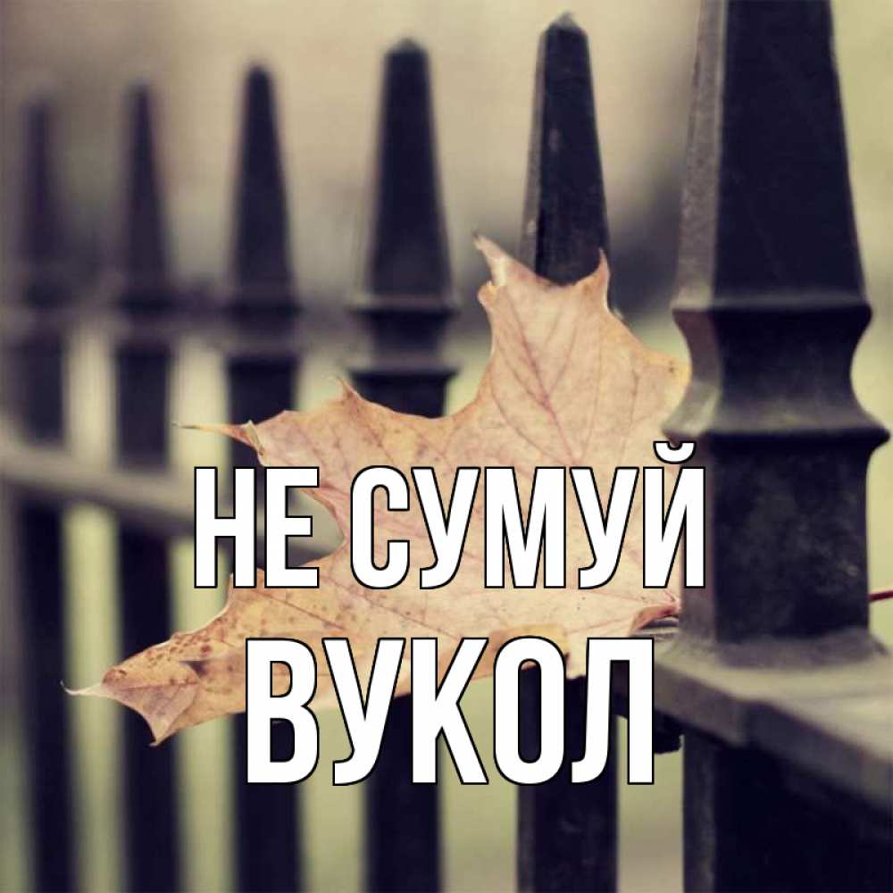 Открытка на каждый день з підписом, Вукол Не сумуй лист клена Прикольна листівка з побажанням онлайн скачати безкоштовно 