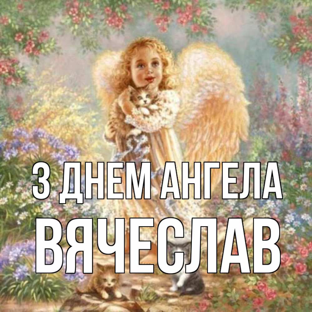 Открытка на каждый день з підписом, Вячеслав З Днем ангела держит котенка Прикольна листівка з побажанням онлайн скачати безкоштовно 