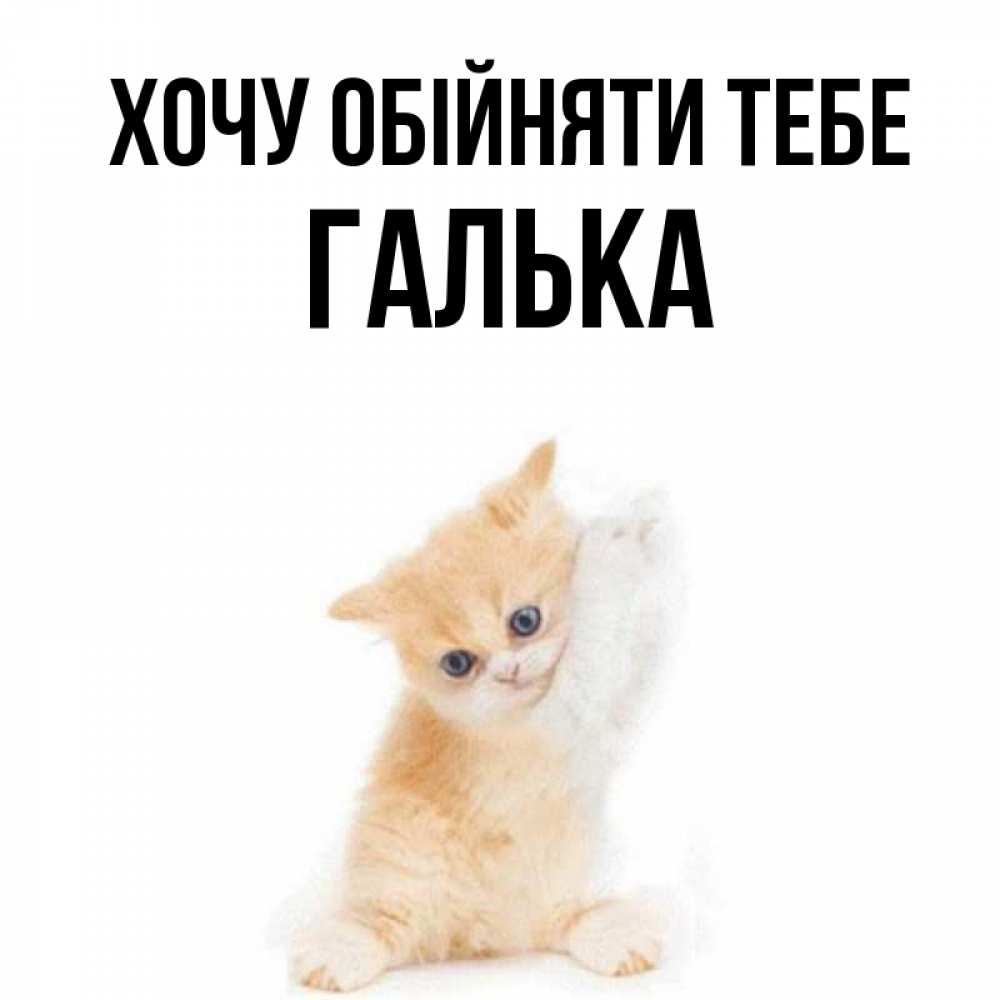 Открытка на каждый день з підписом, Галька Хочу обійняти тебе я хочу очень скорее обнимаешек Прикольна листівка з побажанням онлайн скачати безкоштовно 