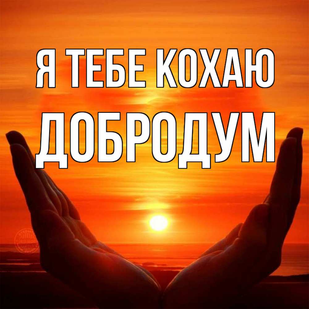Открытка на каждый день з підписом, Добродум Я тебе кохаю в руках Прикольна листівка з побажанням онлайн скачати безкоштовно 