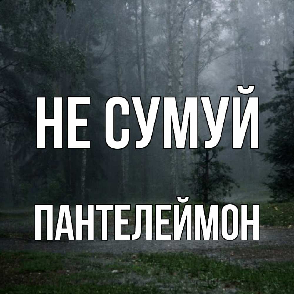 Открытка на каждый день з підписом, Пантелеймон Не сумуй осень Прикольна листівка з побажанням онлайн скачати безкоштовно 