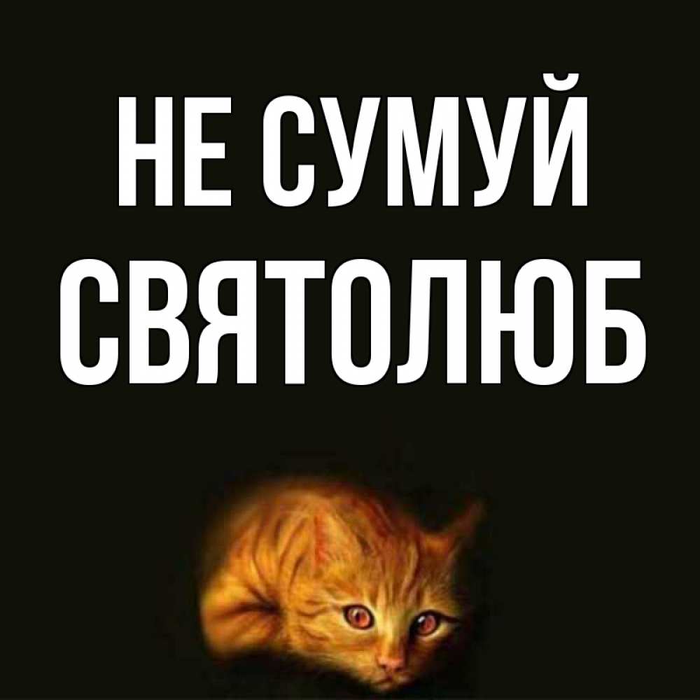 Открытка на каждый день з підписом, Святолюб Не сумуй лежащий кот в темноте Прикольна листівка з побажанням онлайн скачати безкоштовно 