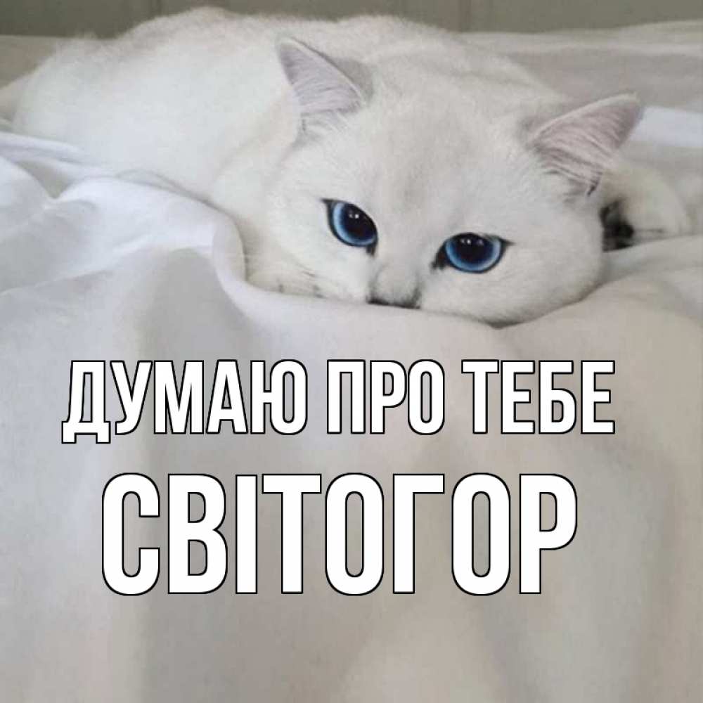 Открытка на каждый день з підписом, Світогор Думаю про тебе я очень по тебе скучаю и тоскую Прикольна листівка з побажанням онлайн скачати безкоштовно 