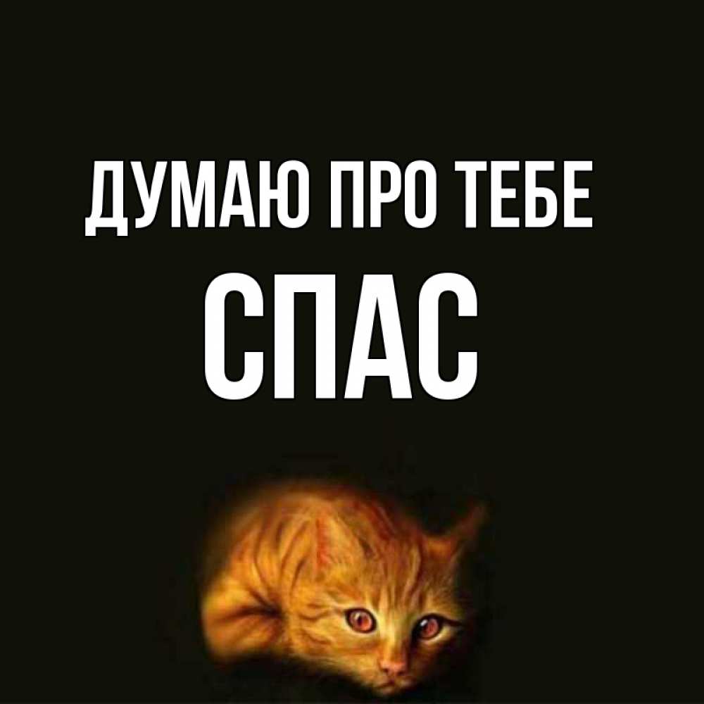 Открытка на каждый день з підписом, Спас Думаю про тебе рыжий Прикольна листівка з побажанням онлайн скачати безкоштовно 