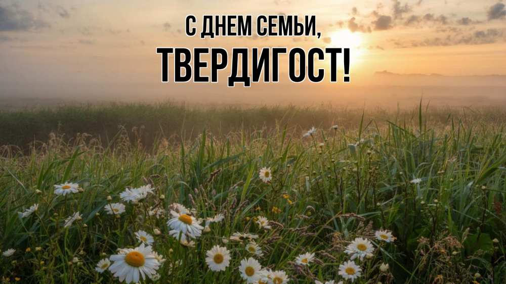 Открытка на каждый день з підписом, Твердигост С днем семьи с днем семьи Прикольна листівка з побажанням онлайн скачати безкоштовно 