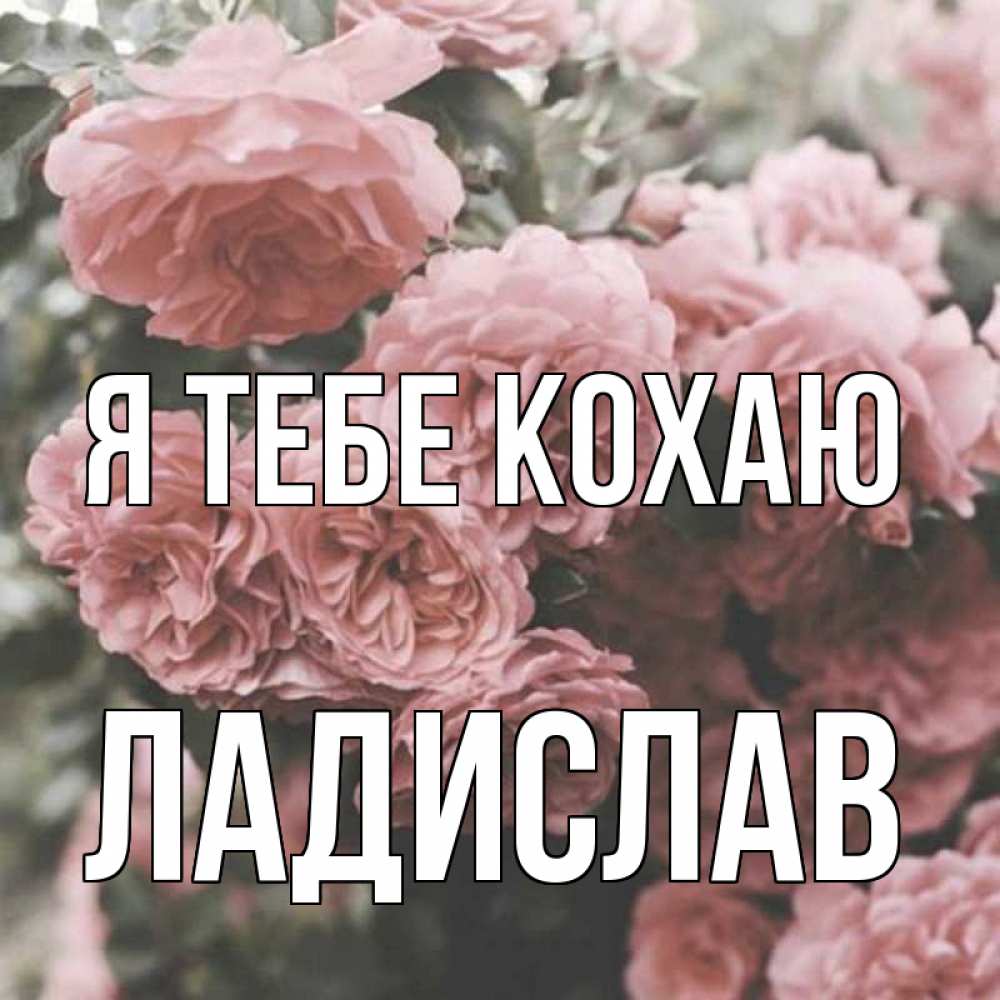Открытка на каждый день з підписом, Ладислав Я тебе кохаю розы 3 Прикольна листівка з побажанням онлайн скачати безкоштовно 