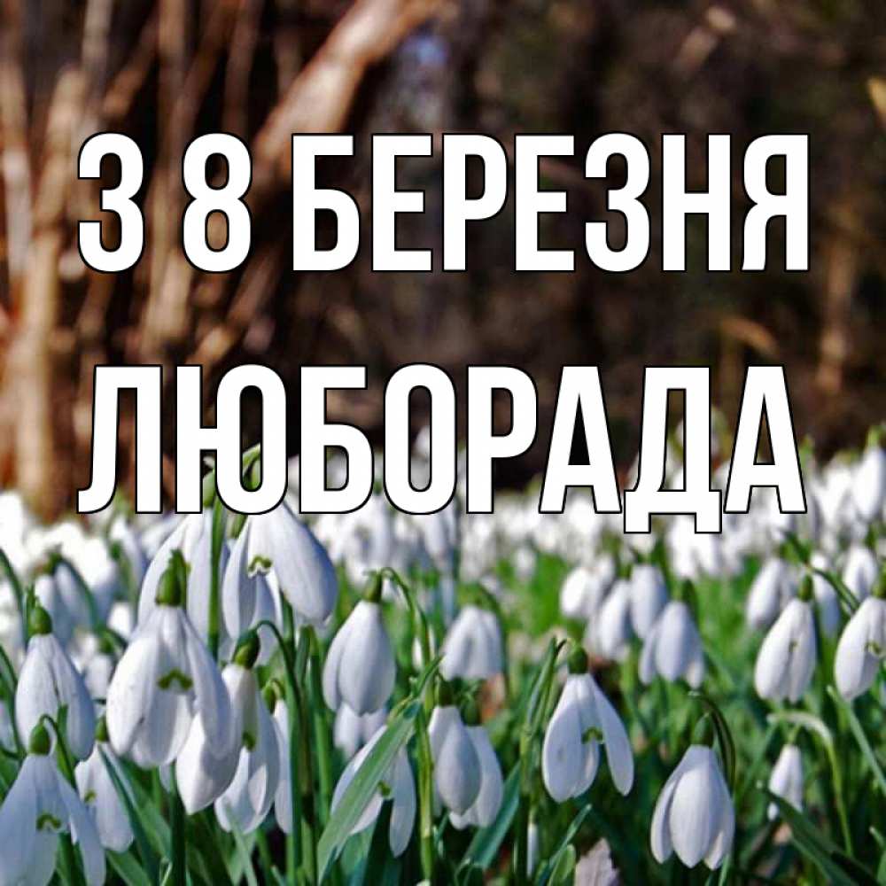 Открытка на каждый день з підписом, Люборада З 8 БЕРЕЗНЯ с подснежниками 1 Прикольна листівка з побажанням онлайн скачати безкоштовно 