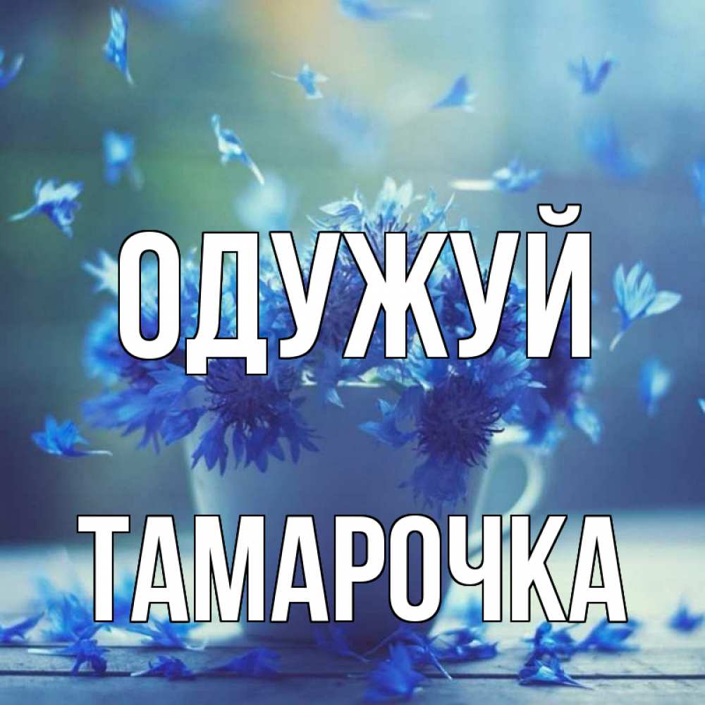 Открытка на каждый день з підписом, Тамарочка Одужуй кружка с зельем и цветами Прикольна листівка з побажанням онлайн скачати безкоштовно 