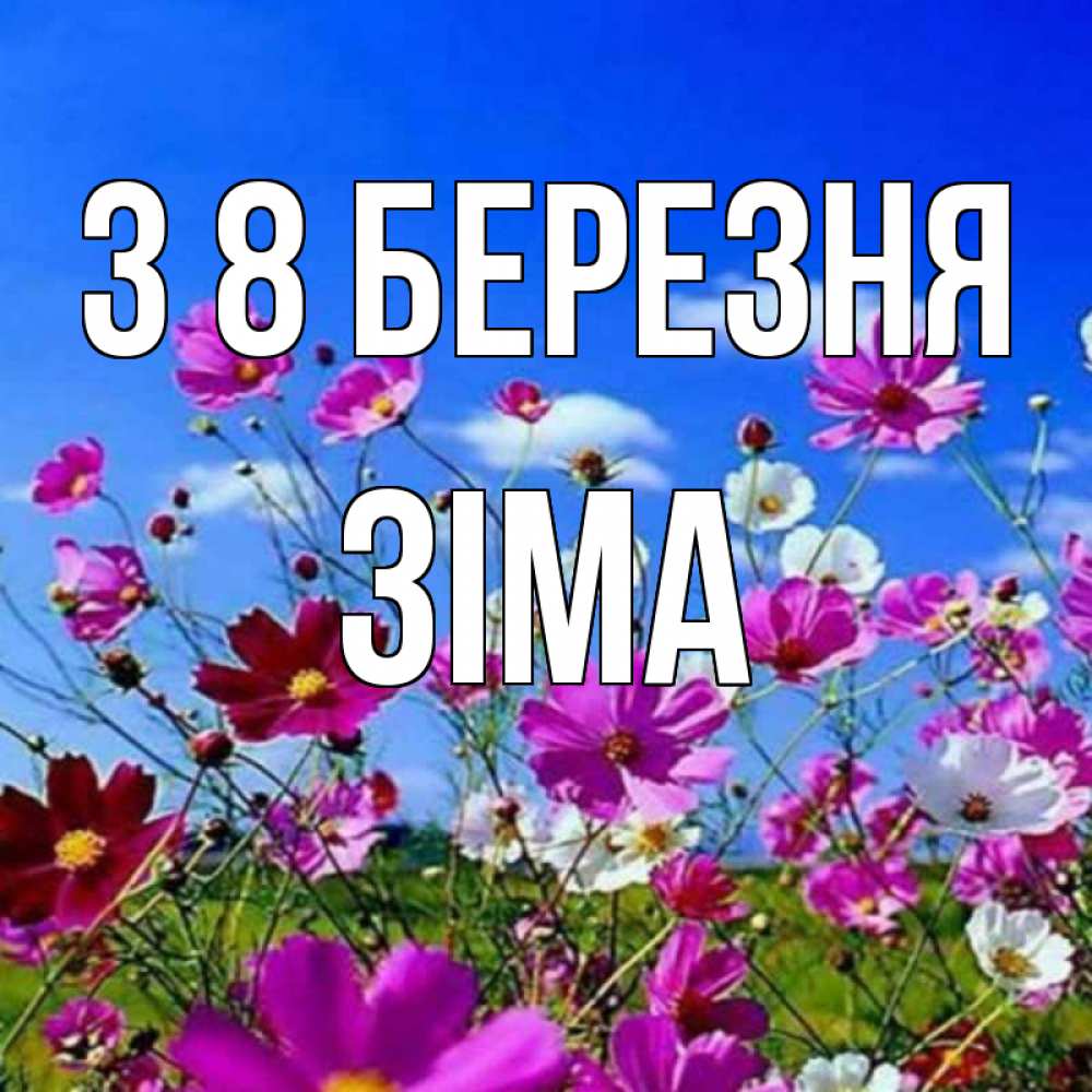 Открытка на каждый день з підписом, Зіма З 8 БЕРЕЗНЯ цветы Прикольна листівка з побажанням онлайн скачати безкоштовно 