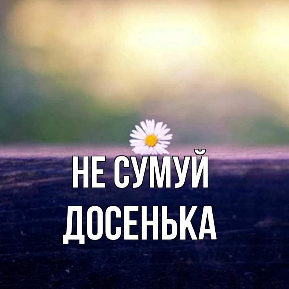 Открытка на каждый день з підписом, Досенька Не сумуй красота Прикольна листівка з побажанням онлайн скачати безкоштовно 