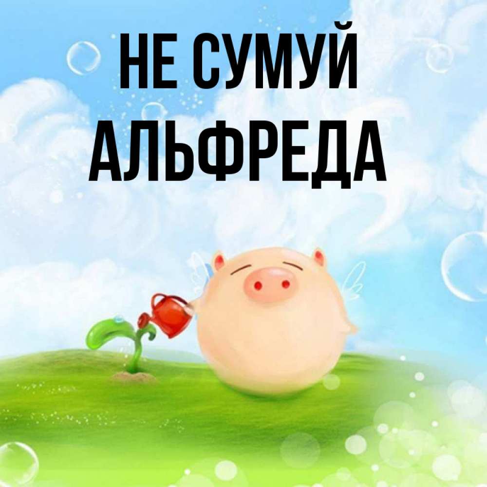 Открытка на каждый день з підписом, Альфреда Не сумуй поливает цветок порося Прикольна листівка з побажанням онлайн скачати безкоштовно 