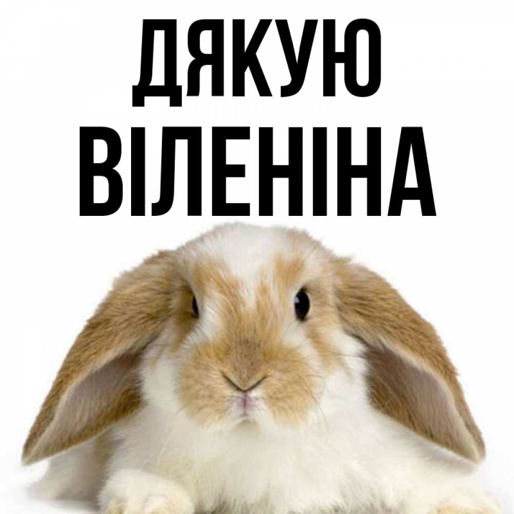 Открытка на каждый день з підписом, Віленіна Дякую коричнево белый заяц Прикольна листівка з побажанням онлайн скачати безкоштовно 
