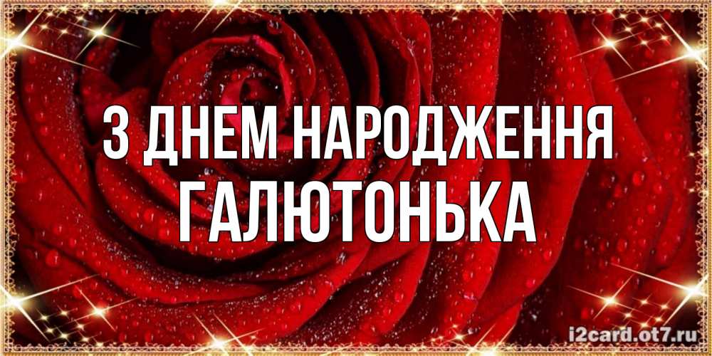 Открытка на каждый день з підписом, Галютонька З Днем народження роса на розе блестящая в лучах солнца Прикольна листівка з побажанням онлайн скачати безкоштовно 