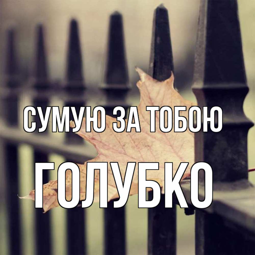 Открытка на каждый день з підписом, Голубко Сумую за тобою очень скучно Прикольна листівка з побажанням онлайн скачати безкоштовно 