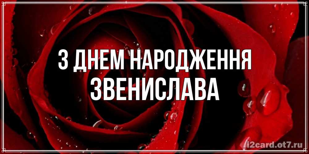 Открытка на каждый день з підписом, Звенислава З Днем народження крупная бордовая роза Прикольна листівка з побажанням онлайн скачати безкоштовно 