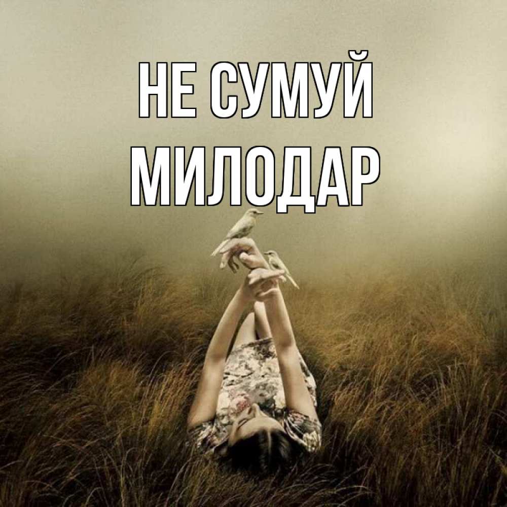 Открытка на каждый день з підписом, Милодар Не сумуй поле и туман Прикольна листівка з побажанням онлайн скачати безкоштовно 