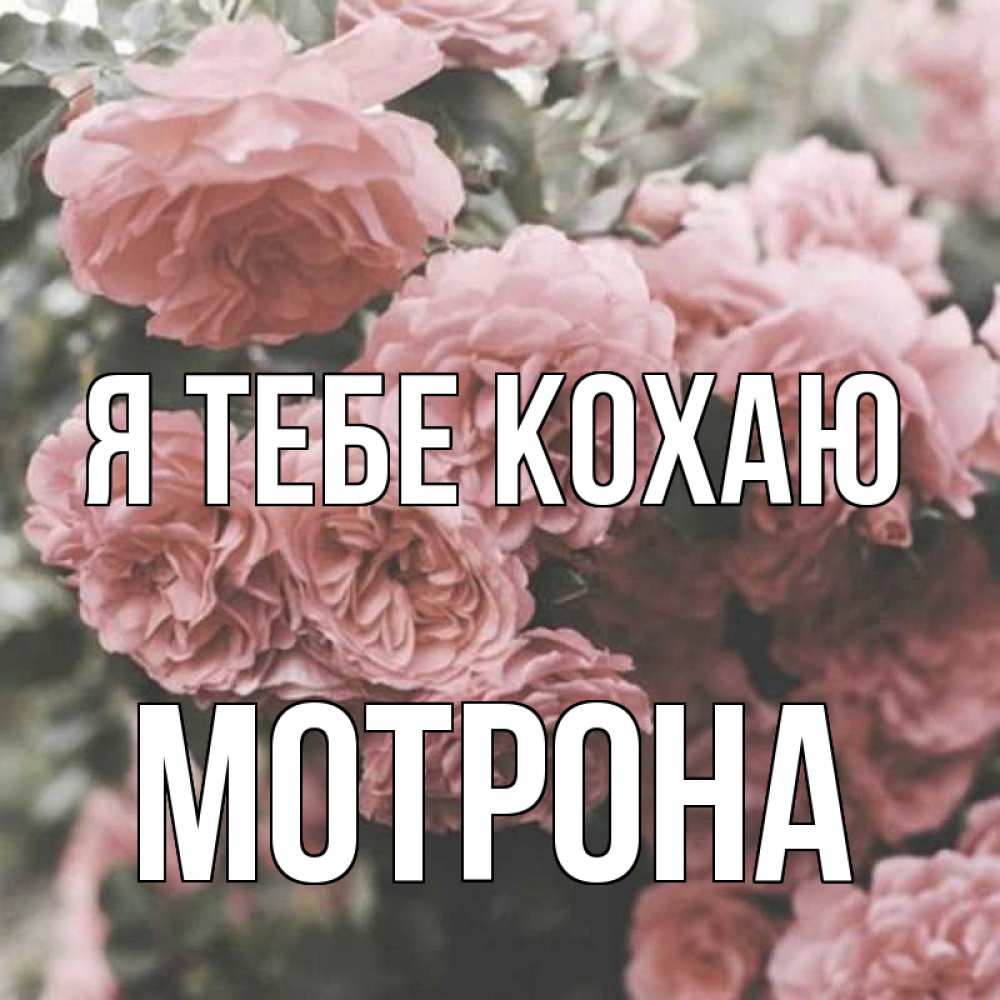 Открытка на каждый день з підписом, Мотрона Я тебе кохаю розы 3 Прикольна листівка з побажанням онлайн скачати безкоштовно 