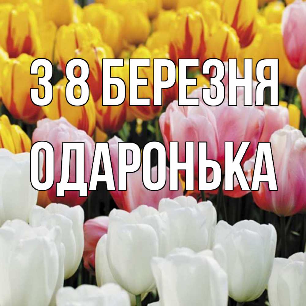 Открытка на каждый день з підписом, Одаронька З 8 БЕРЕЗНЯ разноцветные цветы Прикольна листівка з побажанням онлайн скачати безкоштовно 