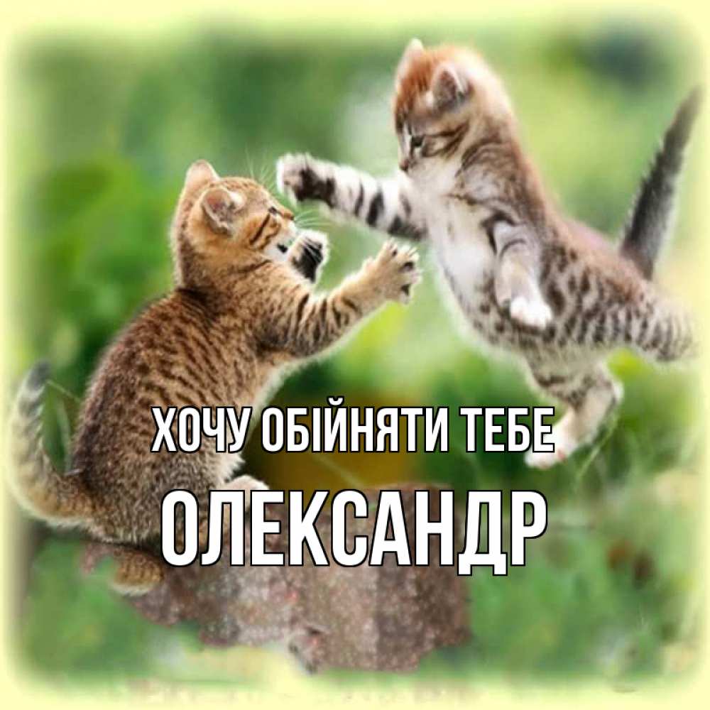 Открытка на каждый день з підписом, Олександр Хочу обійняти тебе игры котят Прикольна листівка з побажанням онлайн скачати безкоштовно 