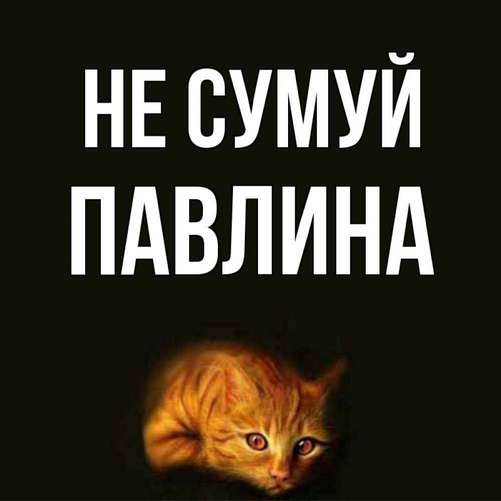 Открытка на каждый день з підписом, Павлина Не сумуй лежащий кот в темноте Прикольна листівка з побажанням онлайн скачати безкоштовно 