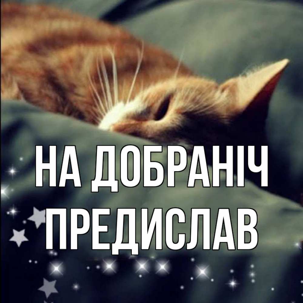 Открытка на каждый день з підписом, Предислав На добраніч кроватка Прикольна листівка з побажанням онлайн скачати безкоштовно 
