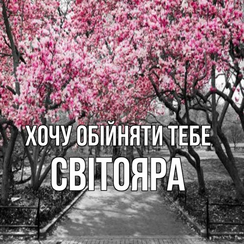 Открытка на каждый день з підписом, Світояра Хочу обійняти тебе обработанное фото Прикольна листівка з побажанням онлайн скачати безкоштовно 