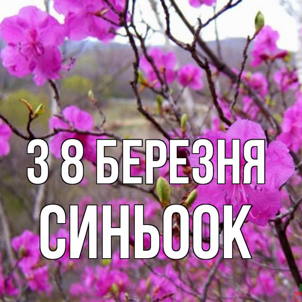 Открытка на каждый день з підписом, Синьоок З 8 БЕРЕЗНЯ международный женский день Прикольна листівка з побажанням онлайн скачати безкоштовно 