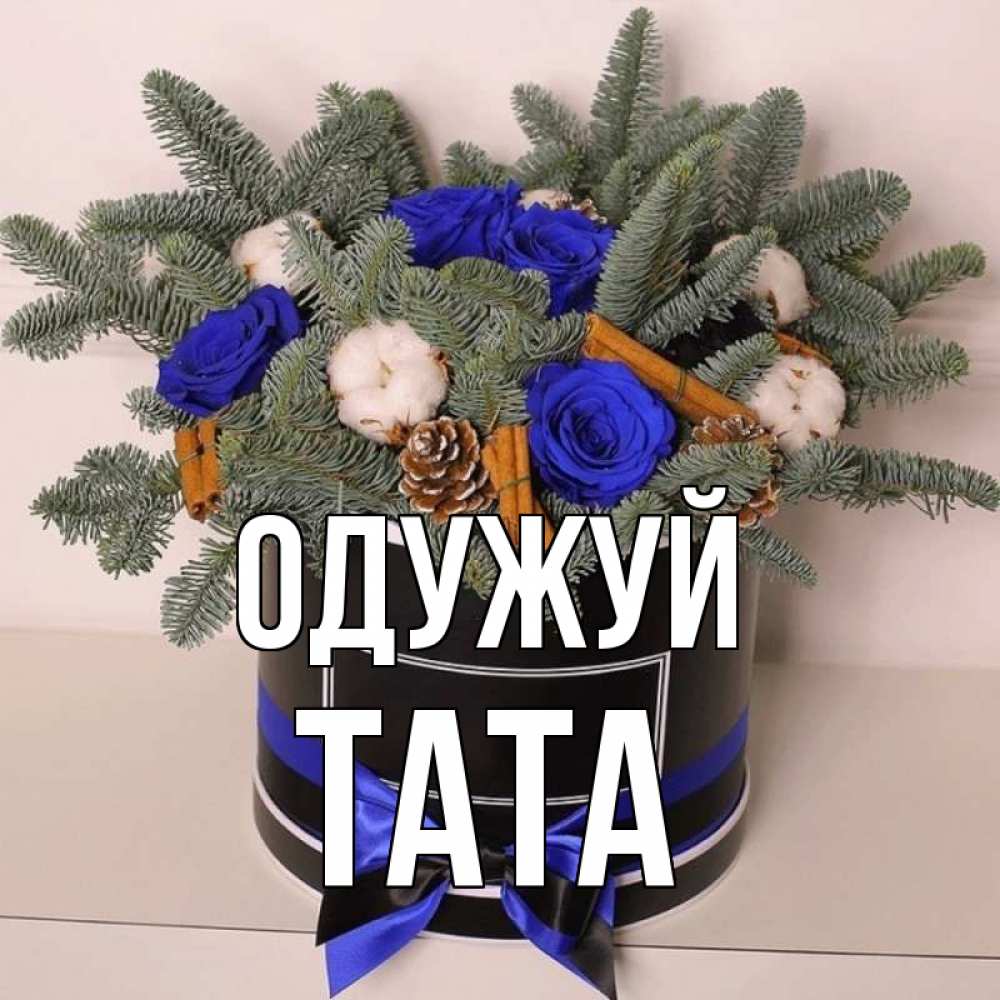 Открытка на каждый день з підписом, Тата Одужуй короче кто то загрузил эти шишки Прикольна листівка з побажанням онлайн скачати безкоштовно 