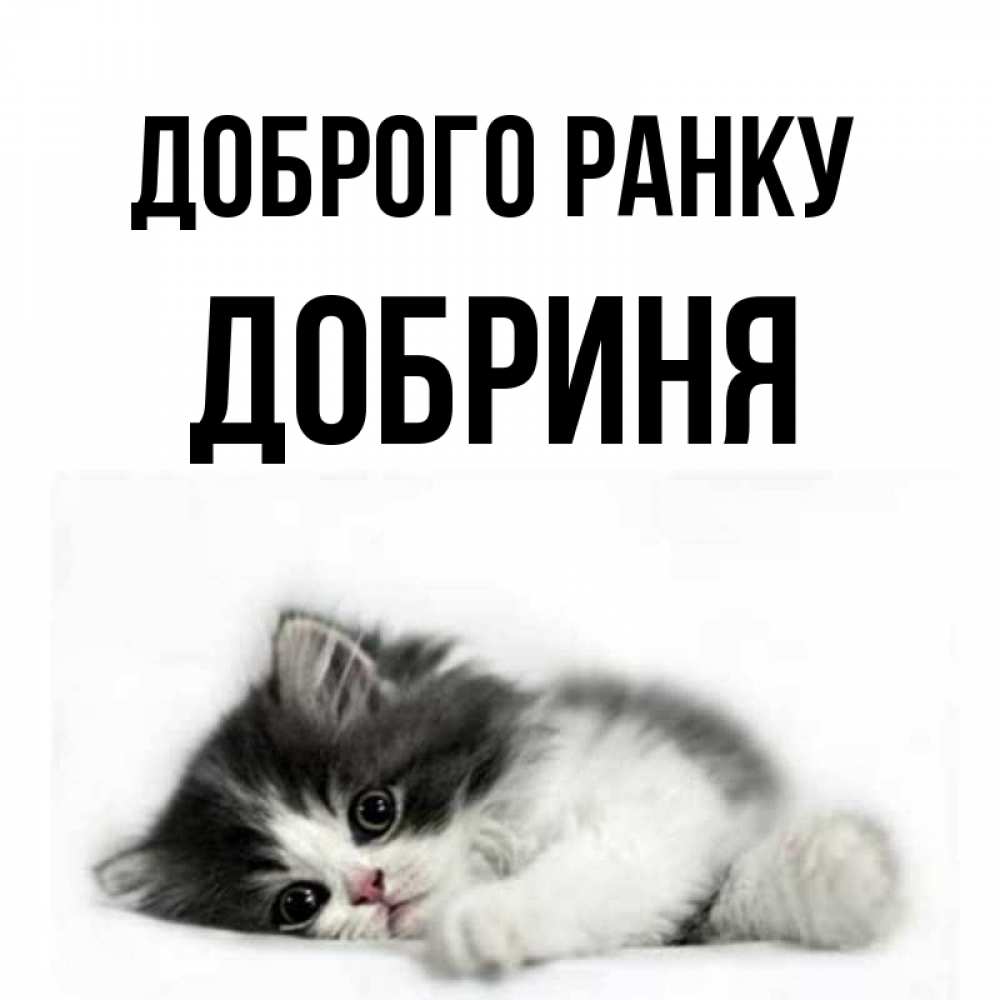 Открытка на каждый день з підписом, Добриня Доброго ранку кот лапки Прикольна листівка з побажанням онлайн скачати безкоштовно 