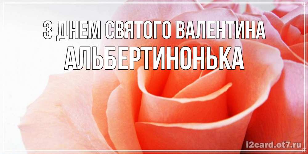 Открытка на каждый день з підписом, Альбертинонька З Днем Святого Валентина открытка на день Святого Валентина с розовой розой Прикольна листівка з побажанням онлайн скачати безкоштовно 