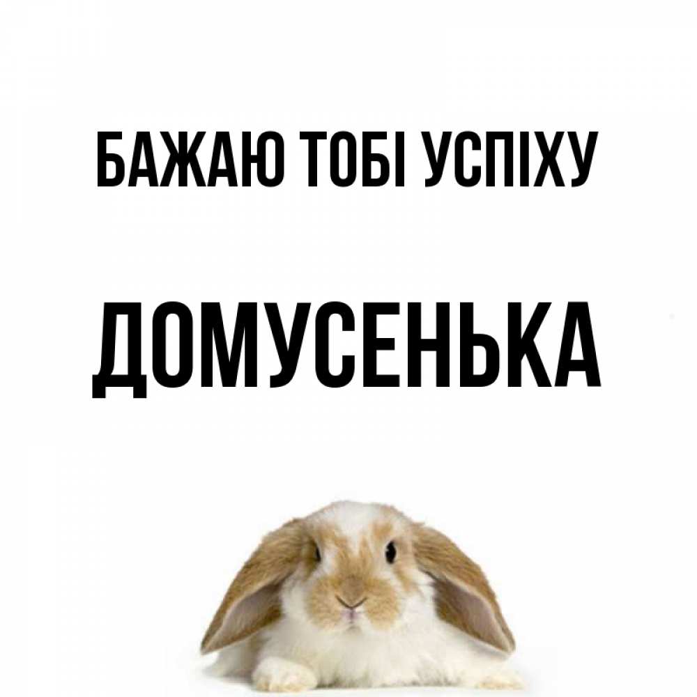 Открытка на каждый день з підписом, Домусенька Бажаю тобі успіху открытки с произвольным текстом который можно вставить в открытку и создать ее самостоятельно бесплатно онлайн Прикольна листівка з побажанням онлайн скачати безкоштовно 